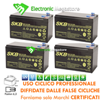 4x BATTERIA RICARICABILE AL PIOMBO 12V 12Ah 6-DZM-12 BICI ELETTRICHE UPS 48V