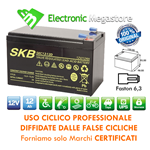 BATTERIA AL PIOMBO RICARICARICABILE  PER USO CICLICO 12V 12Ah 6-DZM-12 PER BICI UPS SOLARE